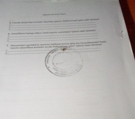 Riguntas Iéccas Fágoa 
_ 
*. Caasaa jaargochaa keessatti fayüdaa quacirri dubbistootaal qabu sadii tarreessi 
3 
_ 
3 
_ 
_ 
_ 
6. Scenaffamni kalaga tokkoo haala kamiin xumurama? Qabxii sadii tarreessi 
3 
_ 
7. Barreessaan namfakkiin sammu dubbisaa keessa akka hin hirranfatamneef haala 
kamiin seeneffama keessatti gooda fudhachiauu qaba? Qabaii lama barreessi 
_I 
_ 
2 
C