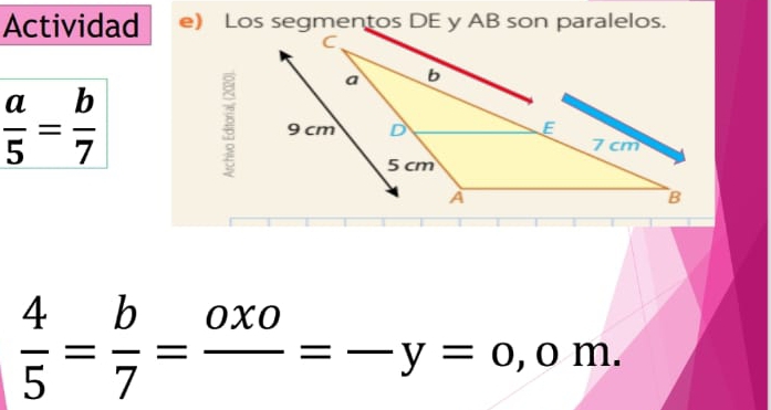 Actividad e) Los segmentos DE y AB son paralelos.
 a/5 = b/7 
 4/5 = b/7 =frac oxo=-y=o, ,0m