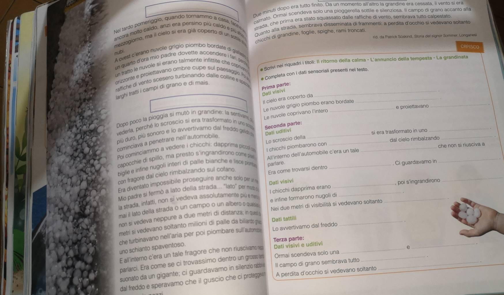 Due minuti dopo era tutto finito. Da un momento all'altro la grandine era cessata, il vento sí era
calmato. Ormai scendeva solo una pioggerella sottile e silenziosa. Il campo di grano accanto alla
Nel tardo pomeriggio, quando tornammo a casa, faceva strada, che prima era stato squassato dalle raffiche di vento, sembrava tutto calpestato.
ancora molto caldo, anzi era persino più caldo e più alo Quanto alla strada, sembrava disseminata di frammenti: a perdita d'occhio si vedevano soltanto
rid. da Patrick Süskind, Storia del signor Sommer, Longanesi
mezzogiorno, ma il cielo si era già coperto di un sottile s chicchi di grandine, foglie, spighe, rami troncati.
CAPISCO
nubi. A ovest c'erano nuvole grigio piombo bordate di giallastr
un quarto d'ora mio padre dovette accendere i fari, perc
un tratto le nuvole si erano talmente infittite che coprivan # Scrivi nei riquadri i titoli: Il ritorno della calma · L'annuncio della tempesta · La grandinata
orizzonte e proiettavano ombre cupe sul paesaggio. Poia ● Completa con i dati sensoriali presenti nel testo.
_
raffiche di vento scesero turbinando dalle colline e spazza
Prima parte:
larghi tratti i campi di grano e di mais.
Dati visivi
Il cielo era coperto da_
e proiettavano
_
Dopo poco la pioggia si mutò in grandine: la sentivamó p Le nuvole grigio piombo erano bordate
Le nuvole coprivano l'intero
_
vederla, perché lo scroscio si era trasformato in uno so
più duro, più sonoro e lo avvertivamo dal freddo gelido d Dati uditivi__
si era trasformato in uno
cominciava a penetrare nell'automobile. Seconda parte:
Lo scroscio della
dal cielo rimbalzando
_
Poi cominciammo a vedere i chicchi: dapprima piccoi on
capocchie di spillo, ma presto s'ingrandirono come pise I chicchi piombarono con_
che non si riusciva a
_
biglie e infine nugoli interi di palle bianche e lisce piomba All'interno dell'automobile c'era un tale
con fragore dal cielo rimbalzando sul cofano parlare._
Ci guardavamo in
_
Era diventato impossibile proseguire anche solo per un m Era come trovarsi dentro_
Mio padre si fermò a lato della strada. "lato" per modo Dati visivi
la strada, infatti, non si vedeva assolutamente più e meo I chicchi dapprima erano __poi s'ingrandirono
mai il lato della strada o un campo o un albero o quaisia e infine formarono nugoli di
non si vedeva neppure a due metri di distanza; in ques Nei due metri di visibilità si vedevano soltanto
metri sì vedevano soltanto milioni di palle da biliardo gia Dati tattili
che turbinavano nell'aria per poi piombare sull'automoble Lo avvertivamo dal freddo
Terza parte:
uno schianto spaventoso.
E all'interno c'era un tale fragore che non riuscivamo nem Dati visivi e uditivi_
e
_
parlarci. Era come se ci trovassimo dentro un grosso tamb Ormai scendeva solo una_
.
suonato da un gigante; ci guardavamo in silenzio rabbri Il campo di grano sembrava tutto_
dal freddo e speravamo che il guscio che ci proteggevan A perdita d'occhio si vedevano soltanto