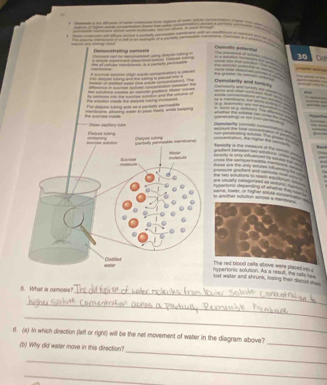 Hamals i the dplsoe of saer massstes ham regions o iaser sctle caerton cugver the ree c  
aen son roer A  yut nor  to  
edtios of highe solte cncerasson Dase toee wanat coloactaton scale a pertudy corte iton e so
*  Vape comecde wl uss somme a partelly tarmeably mentrans unte an expuitinan i rached wot nm 
The plaone mbrane of a call s en exanple of a platlisty plemeable memtrane. Grrisan in a phens pont ir
requre ary energy tout 
Osmotic potential
Demonstrating asmosis
Csmiass san te demonstrated using dialysle futing in
30 Dif
The prostton of soukes (hoehe   
a miplo exermsed (descited pelow). Colysis fubing in as ooluticn incrindas tho tamp
te all celuler mombranes, is a partially permeable
move into that polution. I us way 
Te cnmats pistenta ne temon 
A sucrise solution (high solute concentration) is placed
mone fame dontved tou he i an v
the greater its perstic pot  ' The peag of tie demonantos 1 
inis dislysis fubing and the tubing is placed into s
teusser of stastled water (te solde concentration). The Osmolarity and tonicity
difference in sucres (sotute) concentration betweon the
eog my h  
tive solutions creates an cemotie gradient. Water moves
Oeetskarity and ioeucity are slaen io daw
by osmosis into the suemse solution and the volume of
ms and often contused 90t r u 
C  Am =  w 
solute conicentrations of two soht7 s w9 
the anlucion iside the dislysls rubing incrssses. by a memorie; but terms enders   1905    e   
The dislysis tubing acts as a partially permeable
(e.g. Isqsmptic) ere not aquse in ls in
the sucrose inside Membrane, allowing water to pass freely, while keeping in -soneg (8 3. sotonies. The dieaserns a Hypot
whether the cor eed san chae te s  
(penetrating) or not (non-penetrans       m 
Glass capilary tube
Gemptarity (comotic concennation ) w  
abcount te fotal concentration of Seumen 
Dialysis tubing
non-penetrating soutes. The gresder te wa
(partially permeable membrane)
sucrose solution containing Oialysis tubing concentration, the higher the comotars Back
Tonicity is the measure of the somiic poi
Wator Olaiy 990
gradiend between two sstuliors. Unlive sieee and
Sucrose malecule molecule
tonicity is only influenced by solute s__  _ 
cross the sempermeable membene be por
these are the only solutes influercing to .  
pressure gradient and osmosis must ssss d
the two solutions to reach equlibrum So  
are usually categorized as istlonis hysoins 
hypertonic depending of whether they ha 
same, lower, or higher solute concentrates  
to another solution across a membrans
Distilled
water
The red blood cells above were placed into s
hypertonic solution. As a result, the cells havw
lost water and shrunk, losing their discoid shap
_
5. What is osmosis?
_
_
6. (a) In which direction (left or right) will be the net movement of water in the diagram above?
(b) Why did water move in this direction?
_
_
_
_