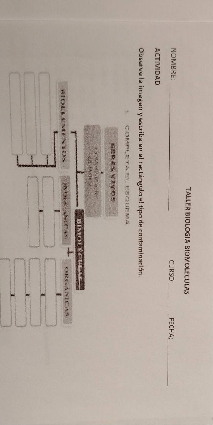 TALLER BIOLOGIA BIOMOLECULAS 
NOMBRE: _CURSO:_ FECHA;_ 
ACTIVIDAD 
Observe la imagen y escriba en el rectángulo el tipo de contaminación. 
1 COMPLÉTA El ESQUEMA 
Sœres VívÖß 
CPO ON 
bimoléculas 
BIOELEMENTOS orgánicas