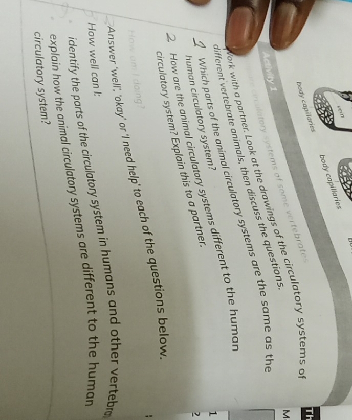Do 
vein 
body capillaries body capillaries 
Th 
M 
colatory systems of some vertebrate. 
Activity 1 
fork with a partner. Look at the drawings of the circulatory systems a 
different vertebrate animals, then discuss the questions 
Which parts of the animal circulatory systems are the same as the 
How are the animal circulatory systems different to the humar 
human circulatory system? 
1 
circulatory system? Explain this to a partnen 
2 
Answer ‘well’, 'okay’ or ‘'I need help' to each of the questions below 
How am I doing? 
How well can I: 
identify the parts of the circulatory system in humans and other vertebro 
explain how the animal circulatory systems are different to the human 
circulatory system?