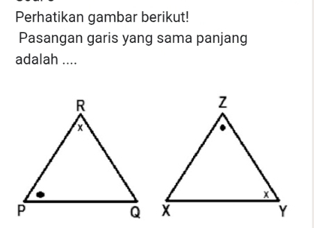 Perhatikan gambar berikut! 
Pasangan garis yang sama panjang 
adalah ....