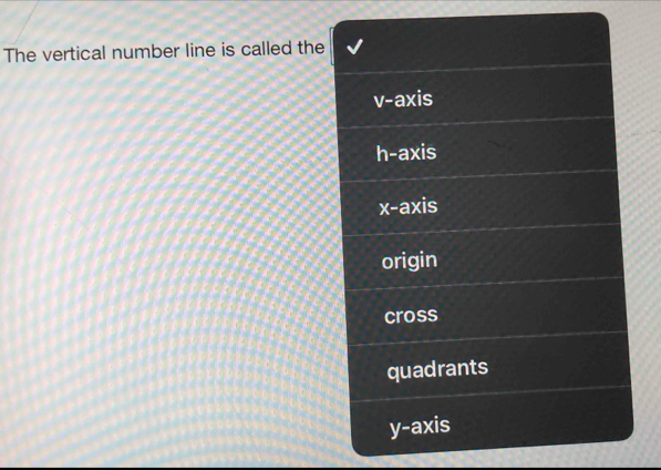 The vertical number line is called the
v-a) xis
h -axis
x-axis
origin
cross
quadrants
y-axis