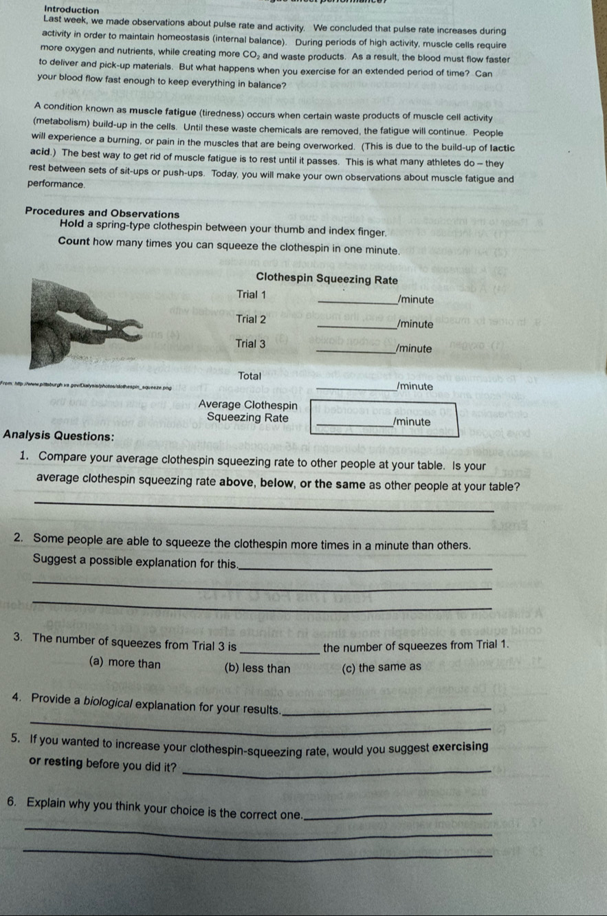 Introduction
Last week, we made observations about pulse rate and activity. We concluded that pulse rate increases during
activity in order to maintain homeostasis (internal balance). During periods of high activity, muscle cells require
more oxygen and nutrients, while creating more CO₂ and waste products. As a result, the blood must flow faster
to deliver and pick-up materials. But what happens when you exercise for an extended period of time? Can
your blood flow fast enough to keep everything in balance?
A condition known as muscle fatigue (tiredness) occurs when certain waste products of muscle cell activity
(metabolism) build-up in the cells. Until these waste chemicals are removed, the fatigue will continue. People
will experience a burning, or pain in the muscles that are being overworked. (This is due to the build-up of lactic
acid.) The best way to get rid of muscle fatigue is to rest until it passes. This is what many athletes do - they
rest between sets of sit-ups or push-ups. Today, you will make your own observations about muscle fatigue and
performance.
Procedures and Observations
Hold a spring-type clothespin between your thumb and index finger.
Count how many times you can squeeze the clothespin in one minute.
Clothespin Squeezing Rate
Trial 1 _/minute
Trial 2 _/minute
Trial 3 _/minute
Total _/minute
Average Clothespin
Squeezing Rate _/ minute
Analysis Questions:
1. Compare your average clothespin squeezing rate to other people at your table. Is your
average clothespin squeezing rate above, below, or the same as other people at your table?
_
2. Some people are able to squeeze the clothespin more times in a minute than others.
Suggest a possible explanation for this
_
_
_
3. The number of squeezes from Trial 3 is
_the number of squeezes from Trial 1.
(a) more than (b) less than (c) the same as
_
4. Provide a biological explanation for your results_
5. If you wanted to increase your clothespin-squeezing rate, would you suggest exercising
or resting before you did it?
_
_
6. Explain why you think your choice is the correct one._
_