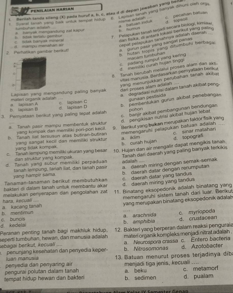 Péñilaıan Harían
I_ Berilah tanda silang (X) pada huruf a, b, c, atau d di depan jawaban yang benar
1. Syarat tanah yang baik untuk tempat hidup 6. Lapisan tanah yang banyak dihuni oleh org
nisme adalah .... c. pecahan batuan
b. humus a. batuan induk d. topsoil
tumbuhan adalah
7. Pelapukan tanah terjadi secara biologi, kimiawi
a. banyak mengandung zat kapur
dan fisika, di antara lokasi berikut yang paling
b. tidak terialu gembur
cepat pelapukan tanahnya adalah daerah ...
c. tidak banyak mineral
a. gurun pasir yang sangat panas
d. mampu menahan air
b. hutan tropis yang ditumbuhi berbagai
2. Perhatikan gambar berikut!
macam tumbuhan
4
c. padang rumput yang kering
d. memiliki curah hujan tinggi
B
C
8. Tanah berubah melalui proses alam dan akti
vitas manusia. Berdasarkan pernyataan berikut
D
yang menunjukkan perubahan tanah akibat
Lapisan yang mengandung paling banyak dari proses alam adalah ....
a. degradasi nutrisi dalam tanah akibat peng-
materi organik adalah_
gunaan pestisida
b. pembentukan gurun akibat penebangan
a. lapisan A c. lapisan C
b. lapisan B d. lapisan D
c. banjir akibat pembangunan bendungan
3. Pemyataan berikut yang paling tepat adalah pohon
d. pengikisan nutrisi akibat hujan lebat
a. Tanah pasir mampu membentuk struktur
yang kompak dan memiliki pori-pori kecil. 9. Berikut yang bukan merupakan faktor fisik yang
c. sinar matahari
b. Tanah liat tersusun atas butiran-butiran memengaruhi pelapukan batuan adalah ....
yang sangat kecil dan memiliki struktur a. iklim
yang tidak kompak. b. curah hujan d. topografi
c. Tanah lempung memiliki ukuran yang besar 10. Hujan dan air mengalir dapat mengikis tanah.
Tanah dari daerah yang paling banyak terkikis
dan struktur yang kompak.
d. Tanah yang subur memiliki perpaduan adalah ....
tanah lempung, tanah liat, dan tanah pasir a. daerah miring dengan semak-semak
b. daerah datar dengan rerumputan
yang hampir sama.
Tanaman-tanaman berikut membutuhkan c. daerah datar yang tandus
bakteri di dalam tanah untuk membantu akar d. daerah miring yang tandus
melakukan penyerapan dan pengolahan zat 11. Binatang eksopedonik adalah binatang yang
memengaruhi sistem tanah dari luar. Berikut
hara, kecuali ....
a. kacang tanah
yang merupakan binatang eksopedonik adalah
b. mentimun
. , .
c. buncis a. arachnida c. myriopoda
d. kedelai b. amphibia d. crustacean
Peranan penting tanah bagi makhluk hidup, 12. Bakteri yang berperan dalam reaksi penguraia
seperti tumbuhan, hewan, dan manusia adalah materi organik kompleks menjadi nitrat adalah .
sebagai berikut, kecuali .... a. Neurospora crassa c. Entero bacteria
penunjang kesehatan dan penyedia keper- b. Nitrosomonas d. Azotobacter
luan manusia 13. Batuan menurut proses terjadinya diba
penyedia dan penyaring air
menjadi tiga jenis, kecuali ....
pengurai polutan dalam tanah a. beku
c. metamorf
tempat hidup hewan dan bakteri b. sedimen d. pualam
el as  IV Sem e ster Genan