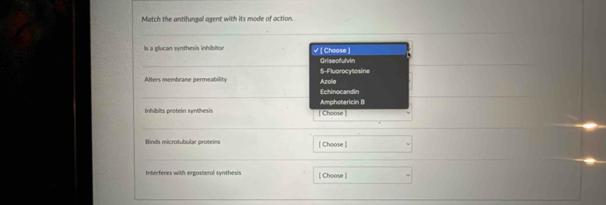 Match the antifungal agent with its mode of action.
Is a glucan synthesis inhibitor √ [ Choose )
Griseofulvin
5 -Fluorocytosine
Alters membrane permeability Azole
Echinocandin
Amphotericin B
Inhibits protein synthesis [ Choose ]
Binds microtubular proteins [ Choose ]
Interferes with ergosterol synthesis [ Choose ]