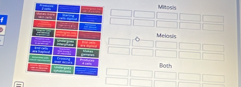 Mitosis 
f 
Meiosis 
Both