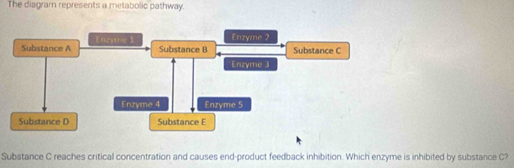 The diagram represents a metabolic pathway. 
Substance C reaches critical concentration and causes end-product feedback inhibition. Which enzyme is inhibited by substance C?