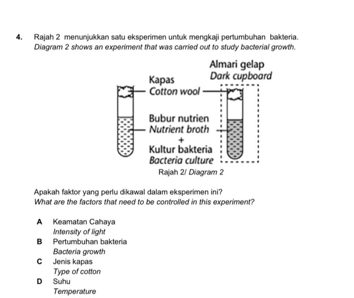 Rajah 2 menunjukkan satu eksperimen untuk mengkaji pertumbuhan bakteria.
Diagram 2 shows an experiment that was carried out to study bacterial growth.
Apakah faktor yang perlu dikawal dalam eksperimen ini?
What are the factors that need to be controlled in this experiment?
A Keamatan Cahaya
Intensity of light
B Pertumbuhan bakteria
Bacteria growth
C Jenis kapas
Type of cotton
D Suhu
Temperature