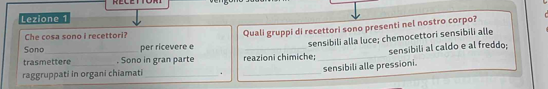 Lezione 1
Che cosa sono i recettori?
Quali gruppi di recettori sono presenti nel nostro corpo?
sensibili alla luce; chemocettori sensibili alle
Sono per ricevere e
trasmettere_ . Sono in gran parte reazioni chimiche; _sensibili al caldo e al freddo;
sensibili alle pressioni.
raggruppati in organi chiamati_
.
_