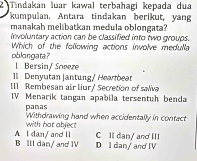 Tindakan luar kawal terbahagi kepada dua
kumpulan. Antara tindakan berikut, yang
manakah melibatkan medula oblongata?
Involuntary action can be classified into two groups.
Which of the following actions involve medulla
oblongata?
I Bersin/ Sneeze
II Denyutan jantung/ Heartbeat
III Rembesan air liur/ Secretion of saliva
IV Menarik tangan apabila tersentuh benda
panas
Withdrawing hand when accidentally in contact
with hot object
A I dan/ and II C II dan/ and III
B III dan/ and IV D I dan/ and IV