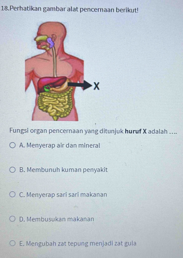 Perhatikan gambar alat pencernaan berikut!
Fungsi organ pencernaan yang ditunjuk huruf X adalah ....
A. Menyerap air dan mineral
B. Membunuh kuman penyakit
C. Menyerap sari sari makanan
D. Membusukan makanan
E. Mengubah zat tepung menjadi zat gula