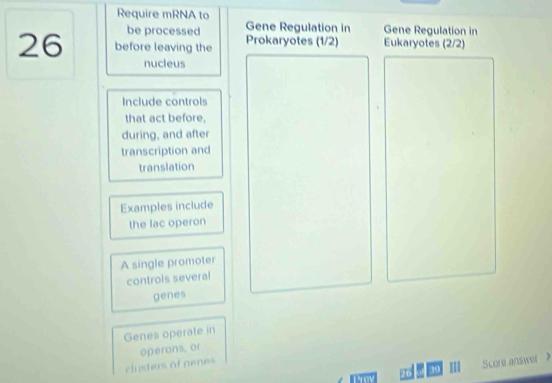 Require mRNA to 
be processed Gene Regulation in Gene Regulation in
26 before leaving the Prokaryotes (1/2) Eukaryotes (2/2)
nucleus 
Include controls 
that act before. 
during, and after 
transcription and 
translation 
Examples include 
the lac operon 
A single promoter 
controls several 
genes 
Genes operate in 
operons, or
39 Score answer 》 
clisters of genes