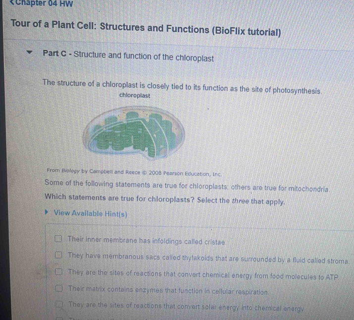 Their inner membrane has infoldings called cristae
They have membranous sacs called thylakoids that are surrounded by a fluid called stroma.
They are the sites of reactions that convert chemical energy from food molecules to ATP
Their matrix contains enzymes that function in cellular respiration
They are the sites of reactions that convert solar energy into chemical energy