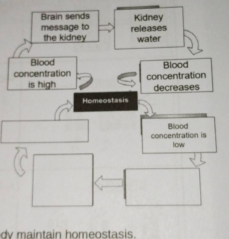 dv maintain homeostasis.