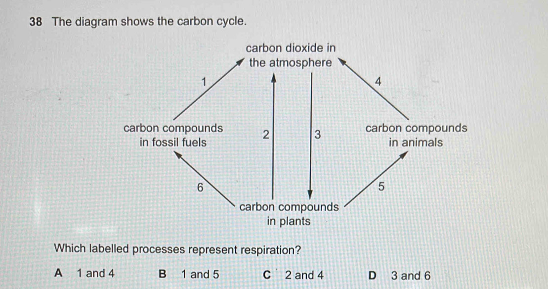 The diagram shows the carbon cycle.
Which labelled processes represent respiration?
A 1 and 4 B 1 and 5 C 2 and 4 D 3 and 6