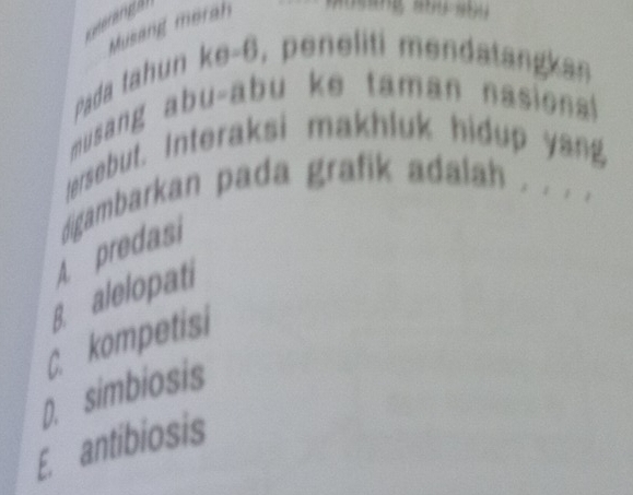 Musang merah
ăng a' su
Pada tahun ke -6, peneliti mendatangkas
musang abu-abu ke taman nasiona
tersebut. Interaksi makhluk hidup yang
A predasi digambarkan pada grafik adalah . . .
g alelopati
C. kompetisi
D. simbiosis
E. antibiosis