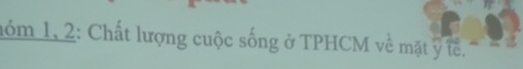 nóm 1, 2: Chất lượng cuộc sống ở TPHCM về mặt ỹ tế.