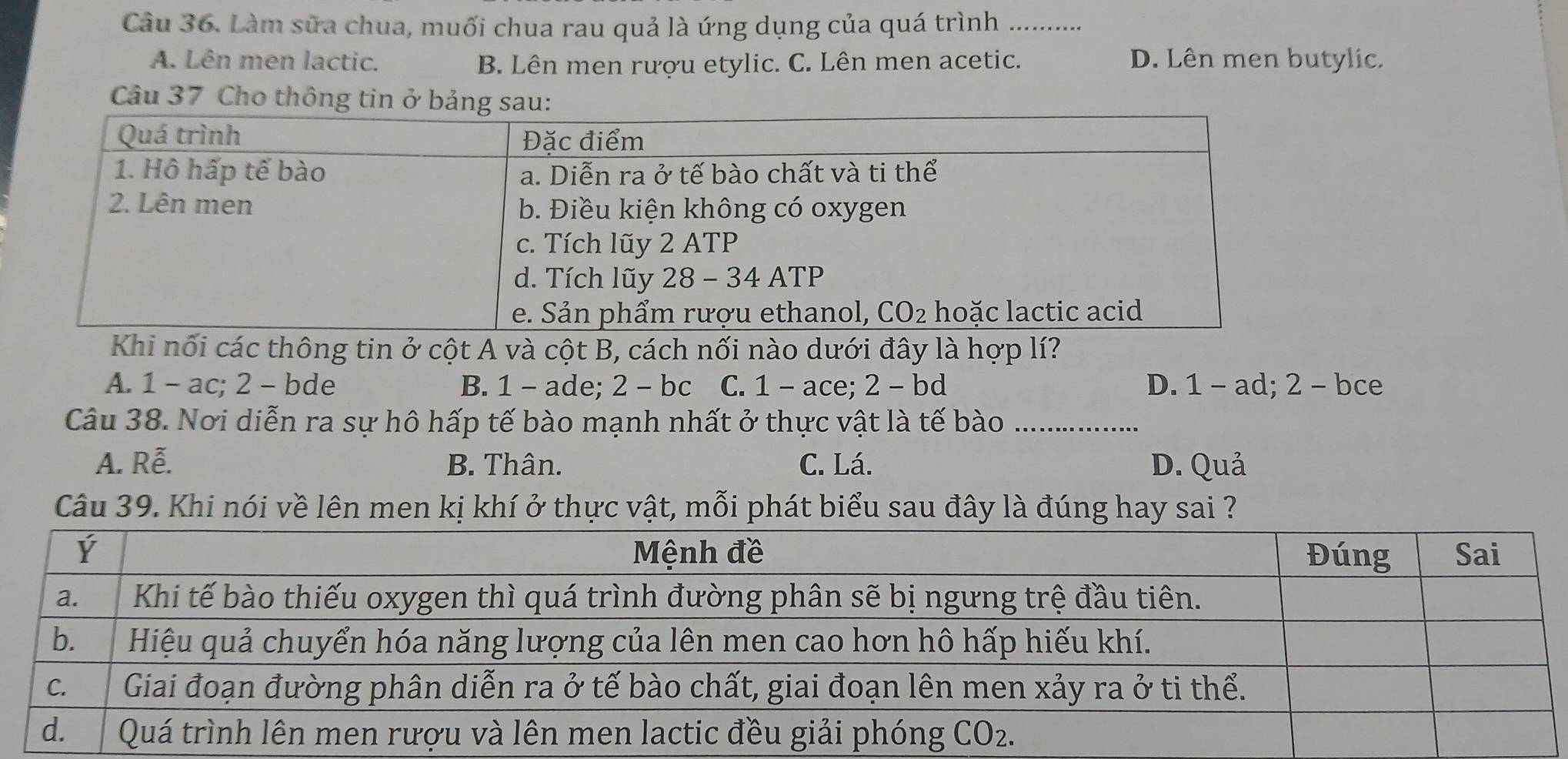 Làm sửa chua, muối chua rau quả là ứng dụng của quá trình
A. Lên men lactic. B. Lên men rượu etylic. C. Lên men acetic. D. Lên men butylic.
Câu 37 Cho thông tin ở bảng sa
Khi nối các thông tin ở cột A và cột B, cách nối nào dưới đây là hợp lí?
A. 1 - ac; 2 - bde B. 1 - ade; 2 - bc C. 1 - ace; 2 - bd D. 1 - ad; 2 - bce
Câu 38. Nơi diễn ra sự hô hấp tế bào mạnh nhất ở thực vật là tế bào_
A. Rễ. B. Thân. C. Lá. D. Quả
Câu 39. Khi nói về lên men kị khí ở thực vật, mỗi phát biểu sau đây là đúng hay sai ?