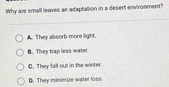 Why are small leaves an adaptation in a desert environment?
A. They absorb more light.
B. They trap less water.
C. They fall out in the winter.
D. They minimize water loss.