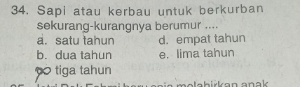 Sapi atau kerbau untuk berkurban
sekurang-kurangnya berumur ....
a. satu tahun d. empat tahun
b. dua tahun e. lima tahun
tiga tahun
m e ia məläbirkan anak