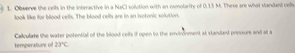 Observe the cells in the interactive in a NaCl solution with an osmolarity of 0.15 M. These are what standard cells 
look like for blood cells. The blood cells are in an isotonic solution. 
Calculate the water potential of the blood cells if open to the environment at standard pressure and at a 
temperature of 23°C