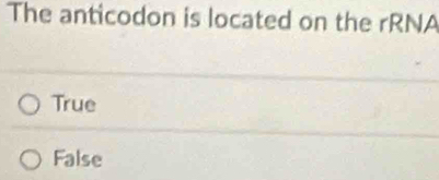 The anticodon is located on the rRNA
True
False