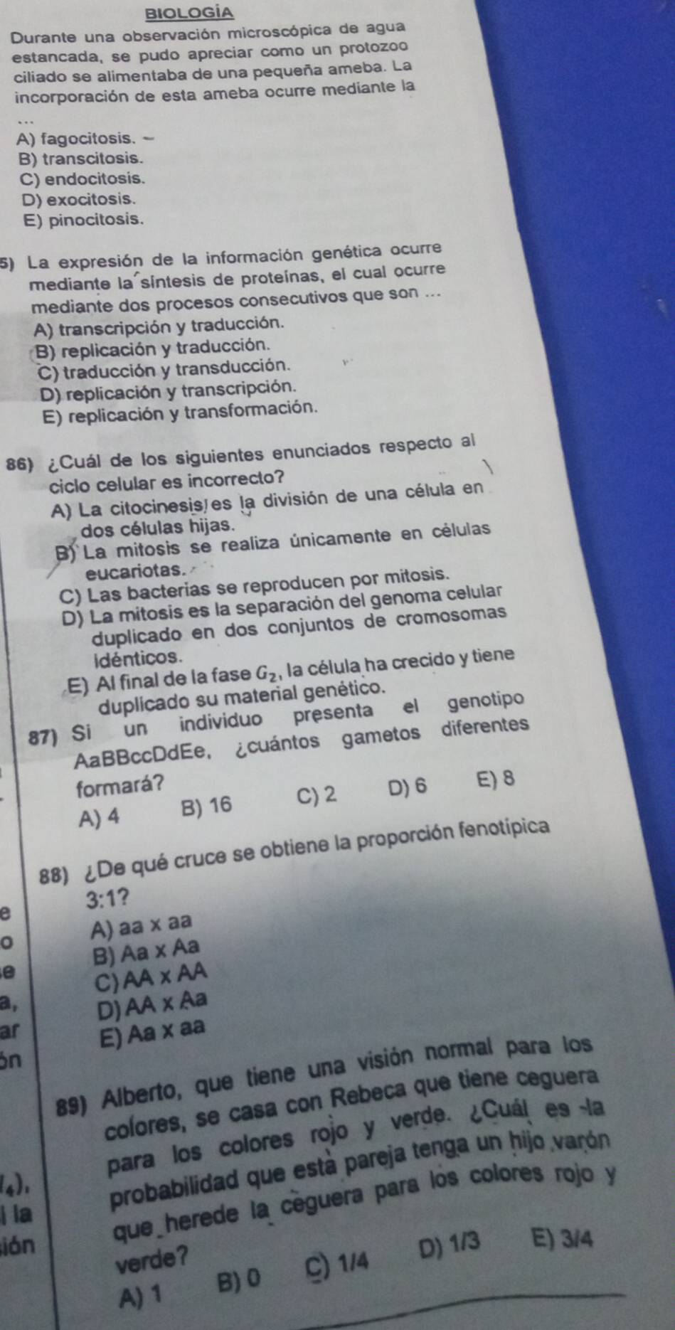 BIOLOGÍA
Durante una observación microscópica de agua
estancada, se pudo apreciar como un protozoo
ciliado se alimentaba de una pequeña ameba. La
incorporación de esta ameba ocurre mediante la
A) fagocitosis. -
B) transcitosis.
C) endocitosis.
D) exocitosis.
E) pinocitosis.
5) La expresión de la información genética ocurre
mediante la síntesis de proteínas, el cual ocurre
mediante dos procesos consecutivos que son ...
A) transcripción y traducción.
B) replicación y traducción.
C) traducción y transducción.
D) replicación y transcripción.
E) replicación y transformación.
86) ¿Cuál de los siguientes enunciados respecto al
ciclo celular es incorrecto?
A) La citocinesis/es la división de una célula en
dos células hijas.
B) La mitosis se realiza únicamente en células
eucariotas.
C) Las bacterias se reproducen por mitosis.
D) La mitosis es la separación del genoma celular
duplicado en dos conjuntos de cromosomas
idénticos.
E) Al final de la fase G_2 la célula ha crecido y tiene
duplicado su material genético.
87) Si un individuo presenta el genotípo
AaBBccDdEe, ¿cuántos gametos diferentes
formará? D) 6 E) 8
A) 4 B) 16 C)2
88) ¿De qué cruce se obtiene la proporción fenotípica
3 · 1 1?
a
0 A) aa x aa
e B) Aa x Aa
C)AAχAA
a,
D) AA x Aa
ar
E) Aa x aa
on
89) Alberto, que tiene una visión normal para los
colores, se casa con Rebeca que tiene ceguera
para los colores rojo y verde. ¿Cuál es la
i la probabilidad que está pareja tenga un hijo varón
(4),
lián que herede la ceguera para los colores rojo y
verde?
A) 1 B) 0 C) 1/4 D) 1/3 E) 3/4