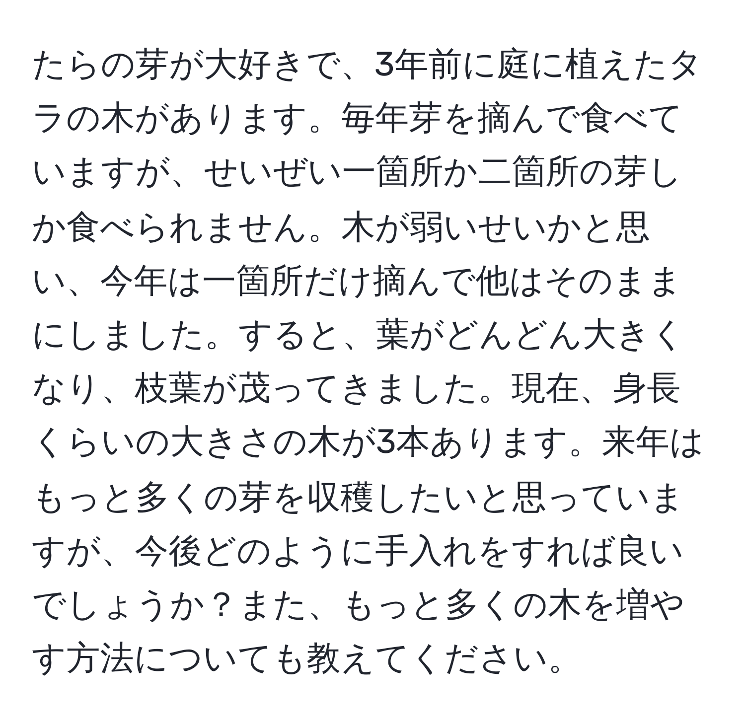 たらの芽が大好きで、3年前に庭に植えたタラの木があります。毎年芽を摘んで食べていますが、せいぜい一箇所か二箇所の芽しか食べられません。木が弱いせいかと思い、今年は一箇所だけ摘んで他はそのままにしました。すると、葉がどんどん大きくなり、枝葉が茂ってきました。現在、身長くらいの大きさの木が3本あります。来年はもっと多くの芽を収穫したいと思っていますが、今後どのように手入れをすれば良いでしょうか？また、もっと多くの木を増やす方法についても教えてください。