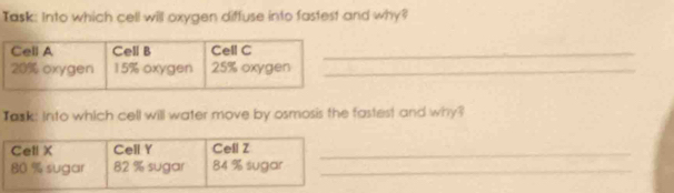 Task: Into which cell will oxygen diffuse into fastest and why? 
_ 
_ 
Task: Into which cell will water move by osmosis the fastest and why? 
_ 
_