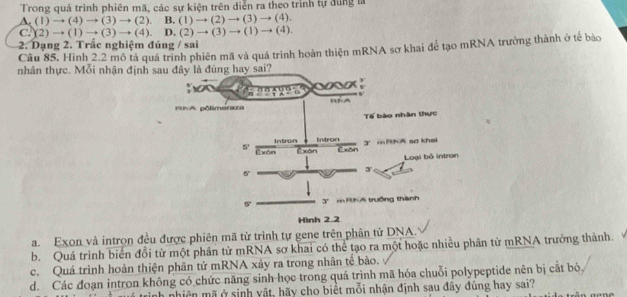 Trong quá trình phiên mã, các sự kiện trên diễn ra theo trình tự dùng là
A. (1)to (4)to (3)to (2). B. (1)to (2)to (3)to (4).
C. (2)to (1)to (3)to (4). D. (2)to (3)to (1)to (4).
2. Dạng 2. Trắc nghiệm đúng / sai
Câu 85. Hình 2.2 mô tả quá trình phiên mã và quá trình hoàn thiện mRNA sơ khai để tạo mRNA trưởng thành ở tế bào
nhân thực. Mỗi nhận định
a. Exon và intrọn đều được phiên mã từ trình tự gene trên phân tử DNA.
b. Quá trình biến đồi từ một phân tử mRNA sơ khai có thể tạo ra một hoặc nhiều phân tử mRNA trưởng thành.
c. Quá trình hoàn thiện phân tử mRNA xảy ra trong nhân tế bào.
d. Các đoạn intron không có chức năng sinh học trong quá trình mã hóa chuỗi polypeptide nên bị cắt bỏ,
miên mã ở sinh vật, hãy cho biết mỗi nhận định sau đây đúng hay sai?