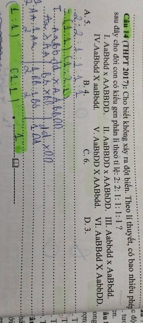 (THPT 2017): Cho biết không xảy ra đột biến. Theo lí thuyết, có bao nhiêu phép c độ
sau đây cho đời con có kiểu gen phân li theo tỉ lệ: 2: 2: 1 : 1:1:1 ? 3n. . tưc
I. AaBbdd x AABBDD. II. AaBBDD x AABbDD. III. Aabbdd x AaBbdd. â u 
IV.AaBbdd X aaBbdd. V. AaBbDD X AABbdd. VI. AaBBdd X AabbDD.
ong
A. 5. B. 4. C. 6. D. 3.
rợn
_
. T
_. T
_
. T
_
. 1
_
âu
_
_
hà
ới