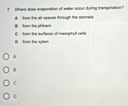 Where does evaporation of water occur during transpiration?
A from the air spaces through the stomata
B from the phloem
C from the surfaces of mesophyll cells
D from the xylem
A
B
C
D