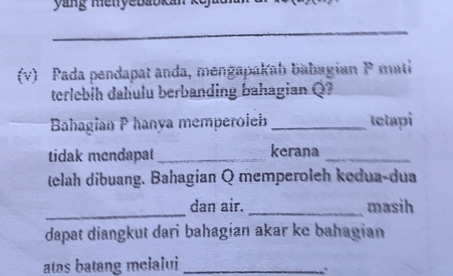 yang menyebabkan ke 
_ 
(v) Pada pendapat anda, mengapakab babagian P mati 
terlebih dahulu berbanding bahagian Q? 
Bahagian P hanya memperoie_ tetapi 
tidak mendapat_ 
kerana 
_ 
telah dibuang. Bahagian Q memperoleh kodua-dua 
_ 
dan air. _masih 
dapat diangkut dari bahagian akar ke bahagian 
atas batang melalui_ 
*