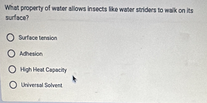 What property of water allows insects like water striders to walk on its
surface?
Surface tension
Adhesion
High Heat Capacity
Universal Solvent