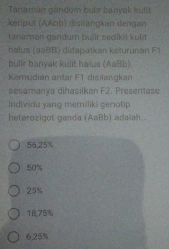 Tanaman gandum bulır banyak kulit
kériput (AAbb) disilangkan dengan
tanaman gandum bulir sedikit kulit
halus (aaBB) didapatkan keturunan F1
bulir banyak kulit halus (AaBb).
Kemudian antar F1 disilangkan
sesamanya dihasilkan F2. Presentase
Individu yang memiliki genotip
heterozigot ganda (AaBb) adalah...
56,25%
50%
25%
18,75%
6,25%