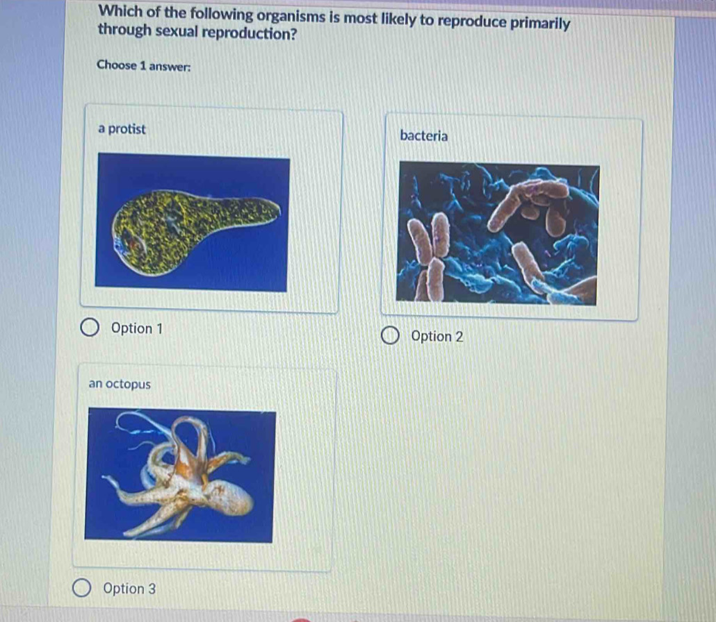 Which of the following organisms is most likely to reproduce primarily
through sexual reproduction?
Choose 1 answer:
a protist bacteria
Option 1
Option 2
an octopus
Option 3