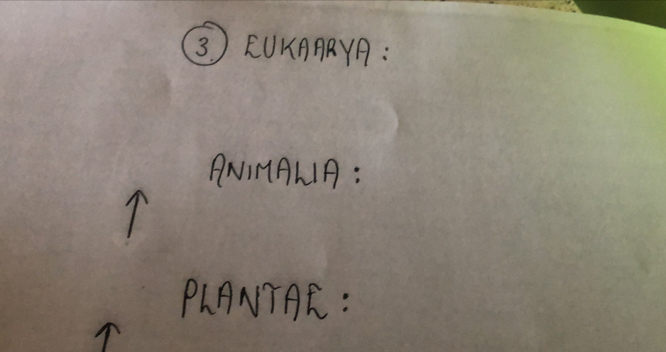 ÊUK×A: 
ANIMALIA: 
PLANTAC: