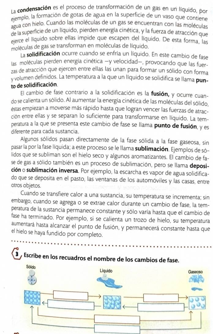 La condensación es el proceso de transformación de un gas en un líquido, por
ejemplo, la formación de gotas de agua en la superficie de un vaso que contiene
agua con hielo. Cuando las moléculas de un gas se encuentran con las moléculas
de la superficie de un líquido, pierden energía cinética, y la fuerza de atracción que
ejerce el líquido sobre ellas impide que escapen del líquido. De esta forma, las
moléculas de gas se transforman en moléculas de líquido.
La solidificación ocurre cuando se enfría un líquido. En este cambio de fase
las moléculas pierden energía cinética —y velocidad—, provocando que las fuer-
zas de atracción que ejercen entre ellas las unan para formar un sólido con forma
y volumen definidos. La temperatura a la que un líquido se solidifica se llama pun-
to de solidificación.
El cambio de fase contrario a la solidificación es la fusión, y ocurre cuan-
do se calienta un sólido. Al aumentar la energía cinética de las moléculas del sólido,
éstas empiezan a moverse más rápido hasta que logran vencer las fuerzas de atrac-
ción entre ellas y se separan lo suficiente para transformarse en líquido. La tem-
peratura a la que se presenta este cambio de fase se llama punto de fusión, y es
diferente para cada sustancia.
Algunos sólidos pasan directamente de la fase sólida a la fase gaseosa, sin
pasar la por la fase líquida; a este proceso se le llama sublimación. Ejemplos de só-
lidos que se subliman son el hielo seco y algunos aromatizantes. El cambio de fa-
se de gas a sólido también es un proceso de sublimación, pero se llama deposi-
ción o sublimación inversa. Por ejemplo, la escarcha es vapor de agua solidifica-
do que se deposita en el pasto, las ventanas de los automóviles y las casas, entre
otros objetos.
Cuando se transfiere calor a una sustancia, su temperatura se incrementa; sin
embargo, cuando se agrega o se extrae calor durante un cambio de fase, la tem-
peratura de la sustancia permanece constante y sólo varía hasta que el cambio de
fase ha terminado. Por ejemplo, si se calienta un trozo de hielo, su temperatura
aumentará hasta alcanzar el punto de fusión, y permanecerá constante hasta que
el hielo se haya fundido por completo.
Escribe en los recuadros el nombre de los cambios de fase.