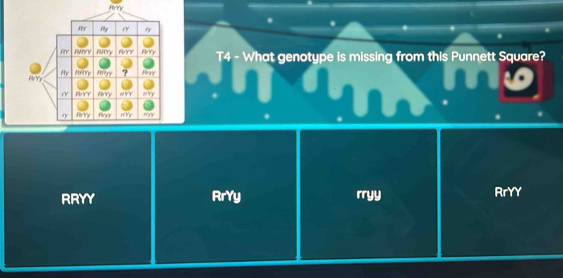 T4 - What genotype is missing from this Punnett Square?
RRYY RrYy rryy RrYY