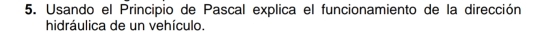 Usando el Principio de Pascal explica el funcionamiento de la dirección 
hidráulica de un vehículo.