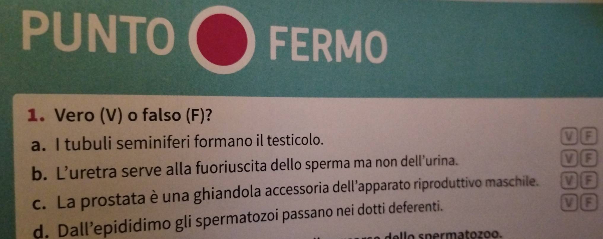 PUNTO
FERMO
1. Vero (V) o falso (F)?
a. I tubuli seminiferi formano il testicolo.
VA
b. L’uretra serve alla fuoriuscita dello sperma ma non dell’urina.
VG
c. La prostata è una ghiandola accessoria dell’apparato riproduttivo maschile. DE
d. Dall’epididimo gli spermatozoi passano nei dotti deferenti.
llo spermatozoo.