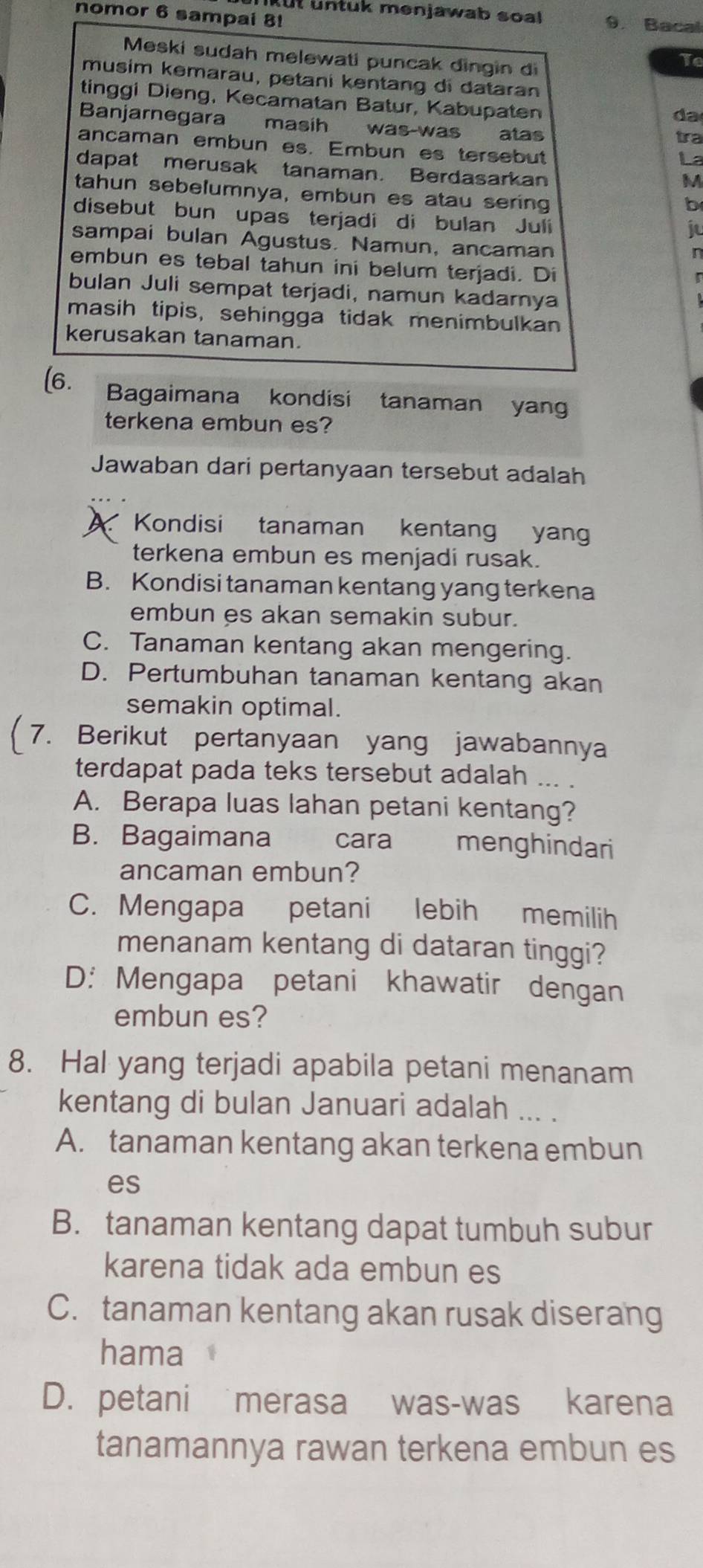 nomor 6 sampai 8!
ut untuk menjawab soal 9. Bacal
Meski sudah melewati puncak dingin di
Te
musim kemarau, petani kentang di dataran
tinggi Dieng, Kecamatan Batur, Kabupaten
da
Banjarnegara masih was-was atas
tra
ancaman embun es. Embun es tersebut
La
dapat merusak tanaman. Berdasarkan
M
tahun sebelumnya, embun es atau sering
b
disebut bun upas terjadi di bulan Juli
ju
sampai bulan Agustus. Namun, ancaman
n
embun es tebal tahun ini belum terjadi. Di
bulan Juli sempat terjadi, namun kadarnya
masih tipis, sehingga tidak menimbulkan
kerusakan tanaman.
(6. Bagaimana kondisi tanaman yan
terkena embun es?
Jawaban dari pertanyaan tersebut adalah
Kondisi tanaman kentang yan
terkena embun es menjadi rusak.
B. Kondisi tanaman kentang yang terkena
embun es akan semakin subur.
C. Tanaman kentang akan mengering.
D. Pertumbuhan tanaman kentang akan
semakin optimal.
7. Berikut pertanyaan yang jawabannya
terdapat pada teks tersebut adalah ...
A. Berapa luas lahan petani kentang?
B. Bagaimana cara menghindari
ancaman embun?
C. Mengapa petani lebih memilih
menanam kentang di dataran tinggi?
D: Mengapa petani khawatir dengan
embun es?
8. Hal yang terjadi apabila petani menanam
kentang di bulan Januari adalah ... .
A. tanaman kentang akan terkena embun
es
B. tanaman kentang dapat tumbuh subur
karena tidak ada embun es
C. tanaman kentang akan rusak diserang
hama
D. petani merasa was-was karena
tanamannya rawan terkena embun es