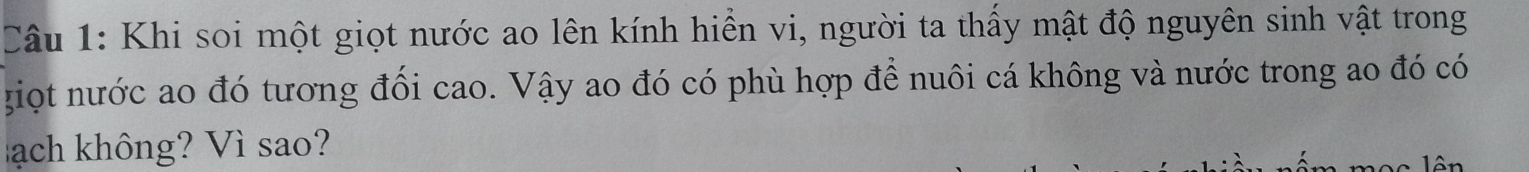 Khi soi một giọt nước ao lên kính hiển vi, người ta thấy mật độ nguyên sinh vật trong 
giọt nước ao đó tương đối cao. Vậy ao đó có phù hợp để nuôi cá không và nước trong ao đó có 
ạch không? Vì sao? lên