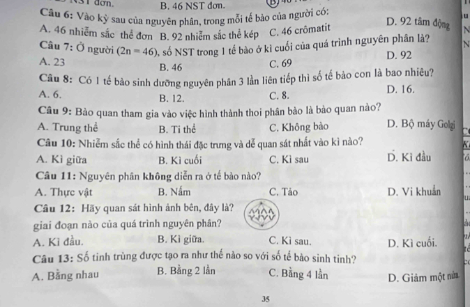 dơn. B. 46 NST đơn.
Câu 6: Vào kỳ sau của nguyên phân, trong mỗi tế bào của người có: u
A. 46 nhiễm sắc thể đơn B. 92 nhiễm sắc thể kép C. 46 crômatit
D. 92 tâm động N
Câu 7:0 người (2n=46) S số NST trong 1 tế bào ở kì cuối của quá trình nguyên phân là? N
A. 23 B. 46
C. 69 D. 92
Câu 8: Có 1 tế bào sinh dưỡng nguyên phân 3 lần liên tiếp thì số tế bảo con là bao nhiêu?
A. 6. B. 12.
C. 8. D. 16.
Câu 9: Bào quan tham gia vào việc hình thành thoi phân bảo là bào quan nào?
A. Trung thể B. Ti thể C. Không bào D. Bộ máy Golgi
Câu 10: Nhiễm sắc thể có hình thái đặc trưng và dễ quan sát nhất vào kì nào?
K
A. Kì giữa B. Kì cuối C. Kì sau D. Kì đầu 16
Câu 11: Nguyên phân không diễn ra ở tế bào nào?
A. Thực vật B. Nấm C. Tảo D. Vi khuẩn
u
Câu 12: Hãy quan sát hình ảnh bên, đây là?
giai đoạn nào của quá trình nguyên phân? à
A. Kì đầu. B. Kì giữa. C. Kì sau. D. Kì cuối. 
Câu 13: Số tinh trùng được tạo ra như thế nào so với số tế bào sinh tinh?
c
A. Bằng nhau B. Bằng 2 lần C. Bằng 4 lần D. Giảm một nửa
35