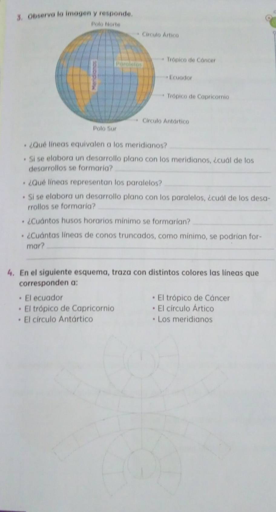 Observa la imagen y responde. 
¿Qué líneas equivalen a los meridianos?_ 
Si se elabora un desarrollo plano con los meridianos, ¿cuál de los 
desarrollos se formaría?_ 
¿Qué líneas representan los paralelos?_ 
Si se elabora un desarrollo plano con los paralelos, ¿cuál de los desa- 
rrollos se formaría?_ 
¿Cuántos husos horarios mínimo se formarían?_ 
¿Cuántas líneas de conos truncados, como mínimo, se podrían for- 
mar?_ 
_ 
4. En el siguiente esquema, traza con distintos colores las líneas que 
corresponden a: 
El ecuador El trópico de Cáncer 
El trópico de Capricornio El círculo Ártico 
El círculo Antártico Los meridianos