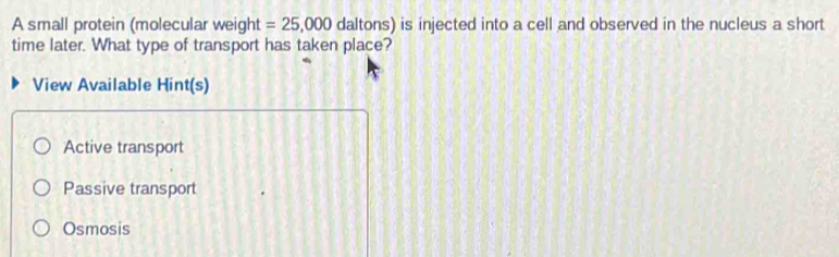 A small protein (molecular weight =25,000 daltons) is injected into a cell and observed in the nucleus a short
time later. What type of transport has taken place?
View Available Hint(s)
Active transport
Passive transport
Osmosis