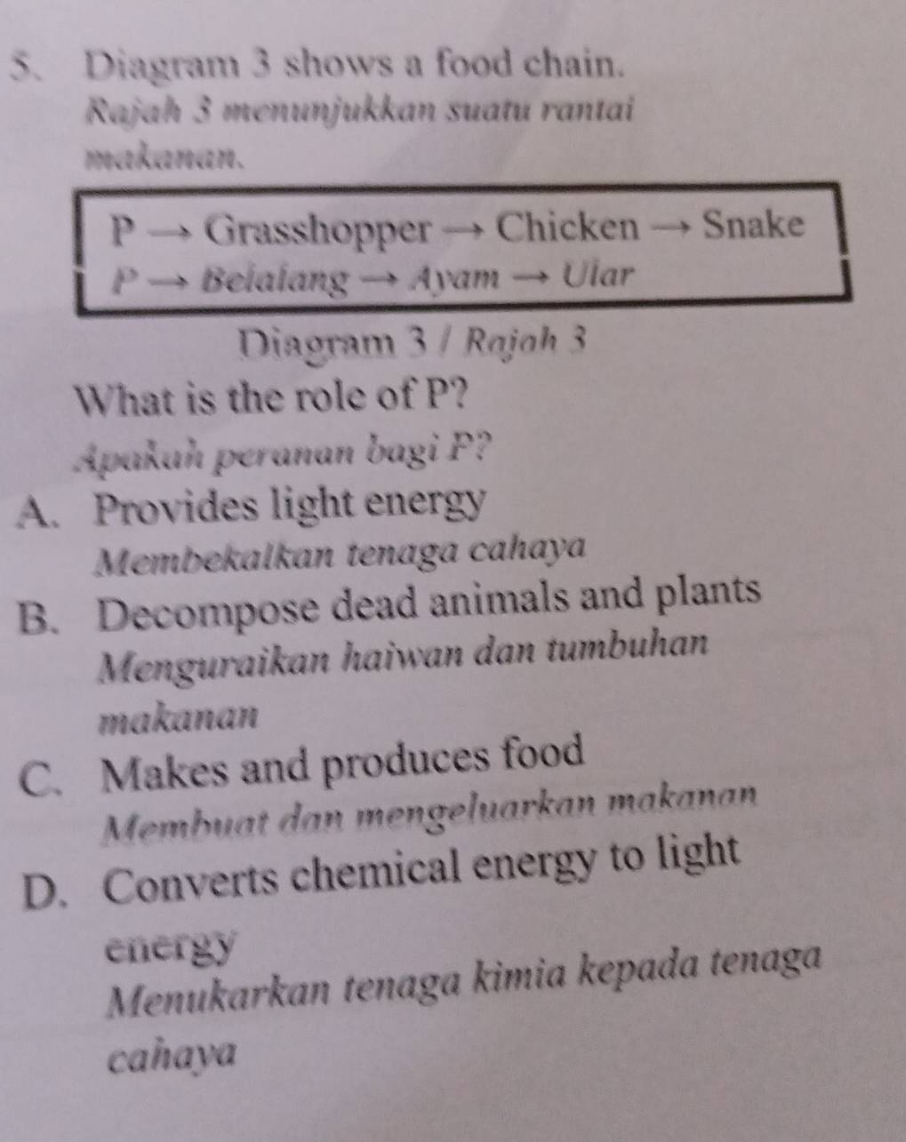 Diagram 3 shows a food chain.
Rajah 3 menunjukkan suatu rantai
makanan.
P → Grasshopper → Chicken → Snake
P→l Beialang → Ayam → Ular
Diagram 3 / Rojoh 3
What is the role of P?
Apakah peranan bagi P
A. Provides light energy
Membekalkan tenaga cahaya
B. Decompose dead animals and plants
Menguraikan haiwan dan tumbuhan
makanan
C. Makes and produces food
Membuat dan mengeluarkan makanan
D. Converts chemical energy to light
energy
Menukarkan tenaga kimia kepada tenaga
cahaya