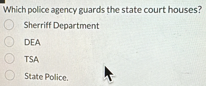 Which police agency guards the state court houses?
Sherriff Department
DEA
TSA
State Police.